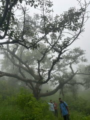 Surajkund Trek