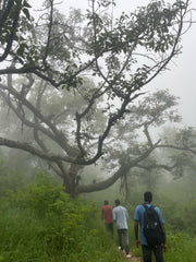 Surajkund Trek